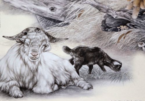 Sheep's lack of water can be called the name of the water