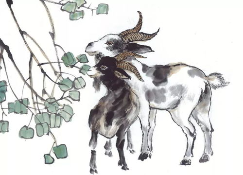 1955 Goat Life Cane